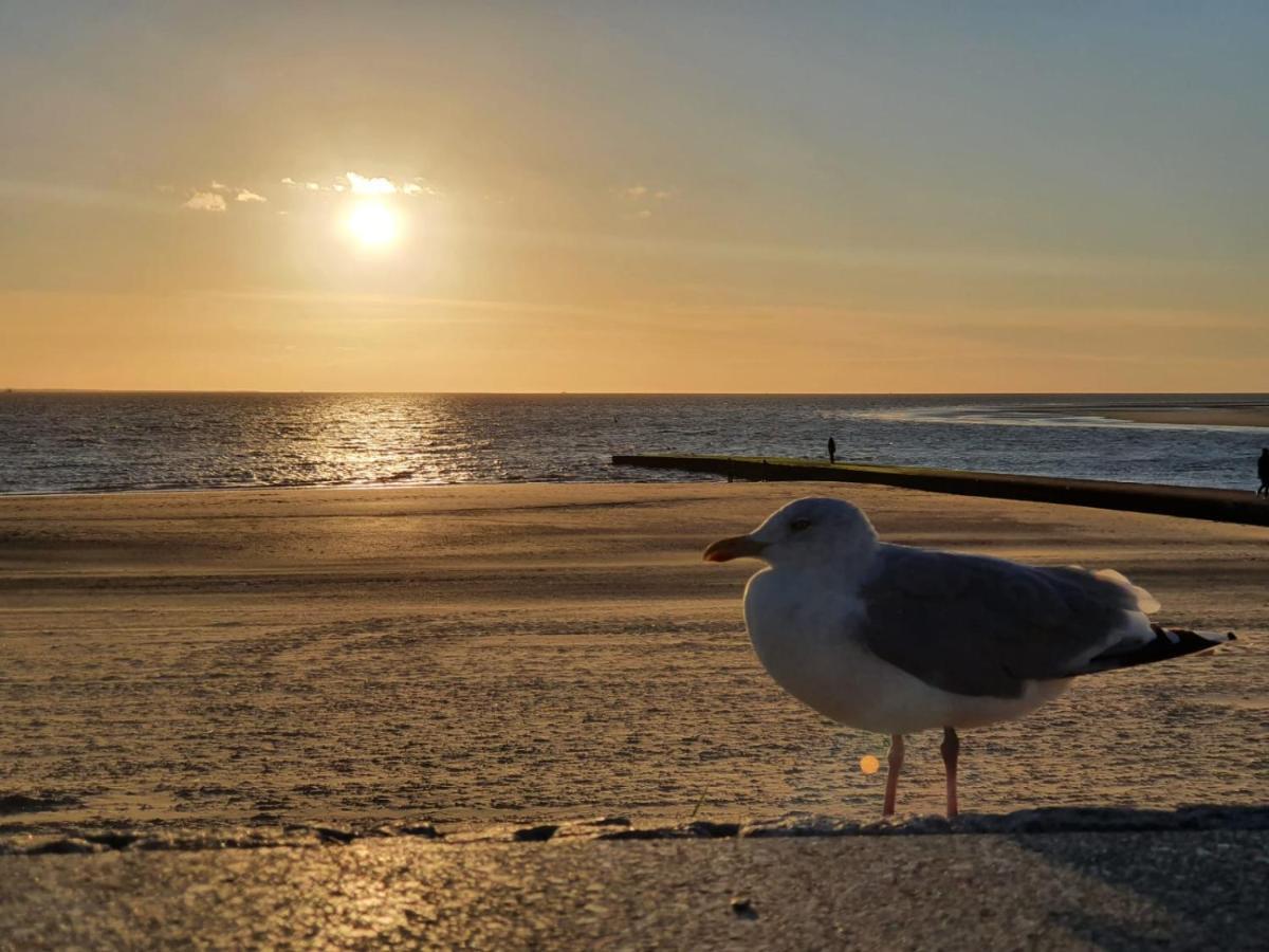 Huus Borkum 아파트 외부 사진