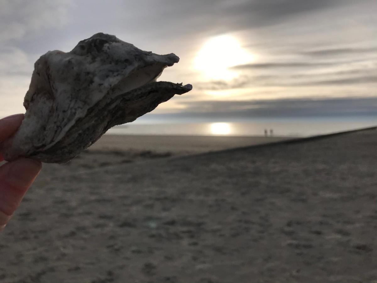 Huus Borkum 아파트 외부 사진